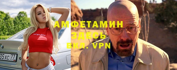 сатива Анжеро-Судженск