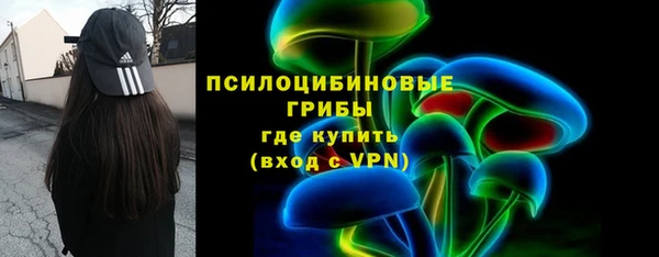 героин Анива