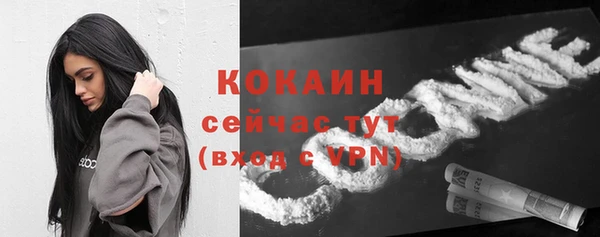 сатива Анжеро-Судженск