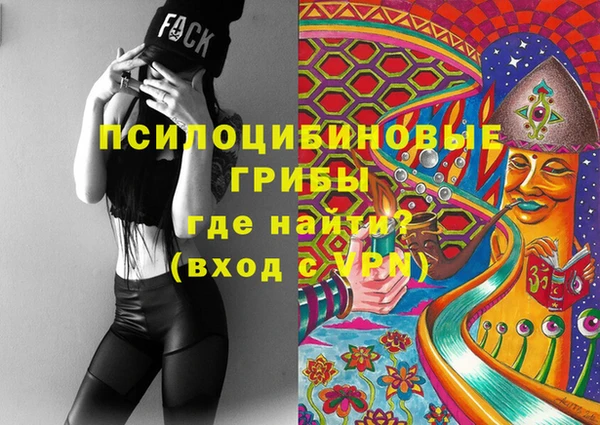 сатива Анжеро-Судженск