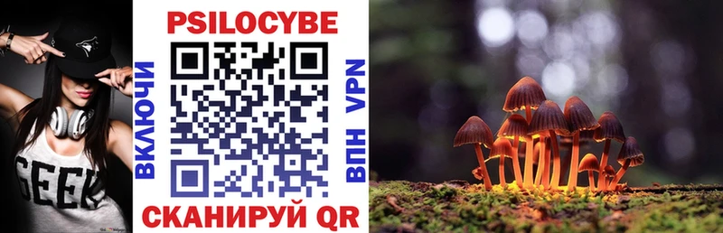 Галлюциногенные грибы Psilocybe  Боровичи 