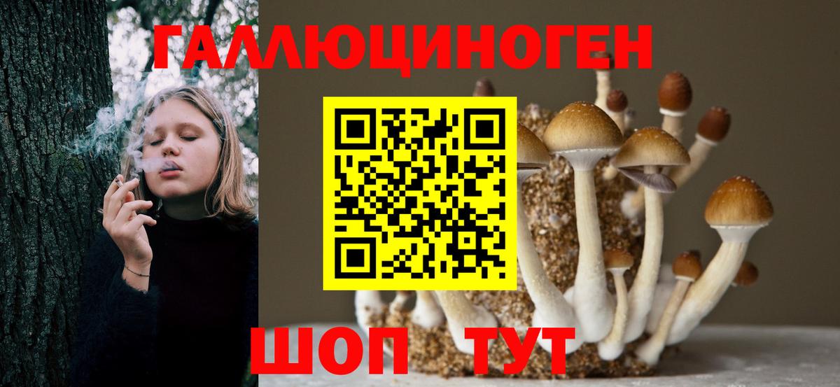 Галлюциногенные грибы Psilocybe  Галлюциногенные грибы мухоморы  Вход с VPN  Боровичи 